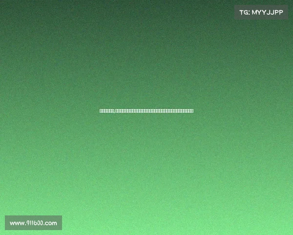 赛事安全手册,赛事安全手册：确保体育娱乐等大型活动安全高效运行的综合性指导指南